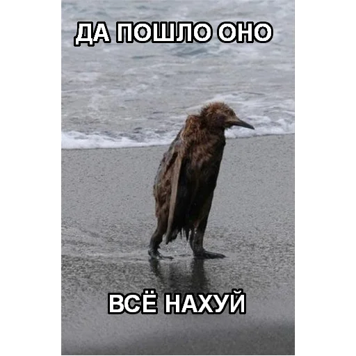 🖕 Стикер «Experimental stickers» для Telegram