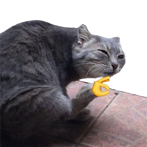 👍 Стикер «Experimental stickers» для Telegram