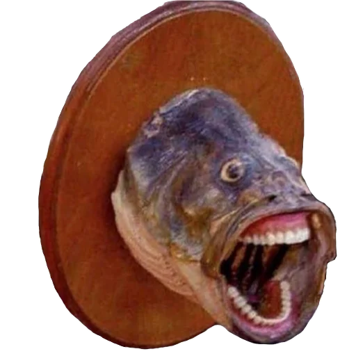 🦈 Стикер «Experimental stickers» для Telegram