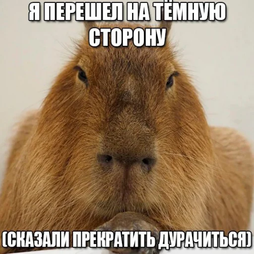 Стикерпак explain ur smolness для Telegram