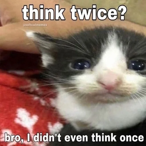 😭 Стикер «explain ur smolness» для Telegram
