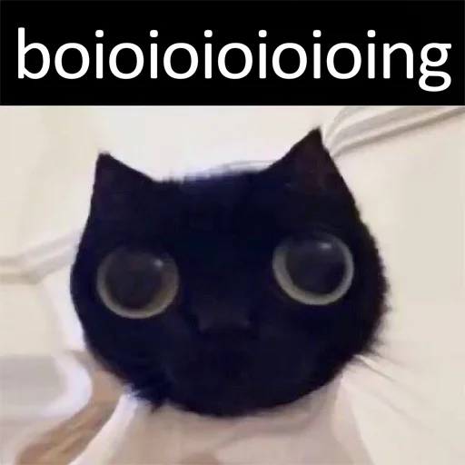 💀 Стикер «explain ur smolness» для Telegram
