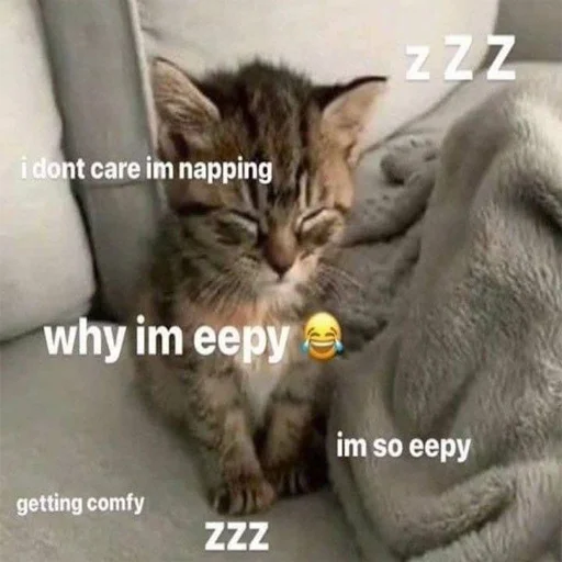 🥱 Стикер «explain ur smolness» для Telegram