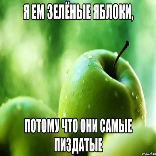 🍏 Стикер «explain ur smolness» для Telegram