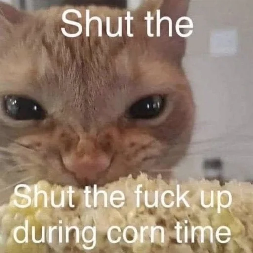 😡 Стикер «explain ur smolness» для Telegram
