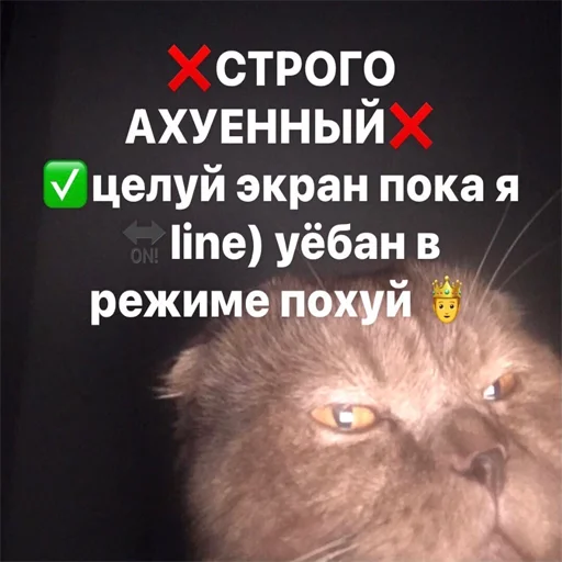 😈 Стикер «explain ur smolness» для Telegram