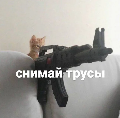 😈 Стикер «Разрывные котята» для Telegram