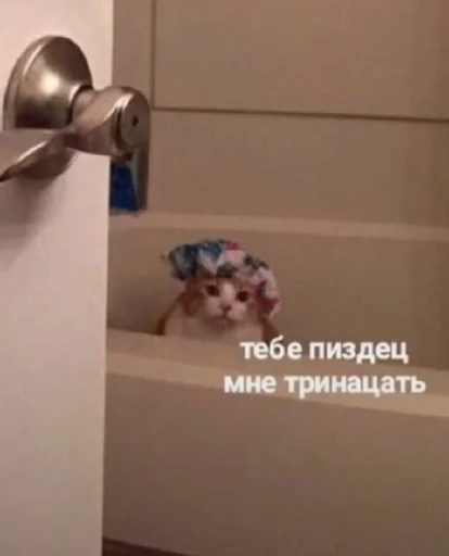 😡 Стикер «Разрывные котята» для Telegram