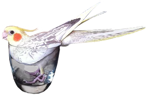 Стикерпак birbs для Telegram