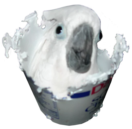 👻 Стикер «birbs» для Telegram