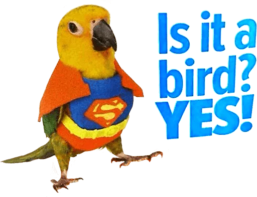 😎 Стикер «birbs» для Telegram