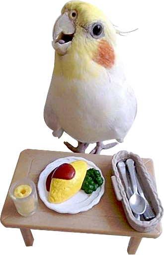 🍽 Стикер «birbs» для Telegram