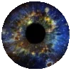 Стикер 5 Eyes