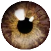 Стикер 13 Eyes