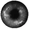 Стикер 39 Eyes