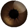 Стикер 12 Eyes