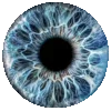 Стикер 40 Eyes