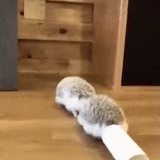🦔 Стикер «Ёжики» для Telegram