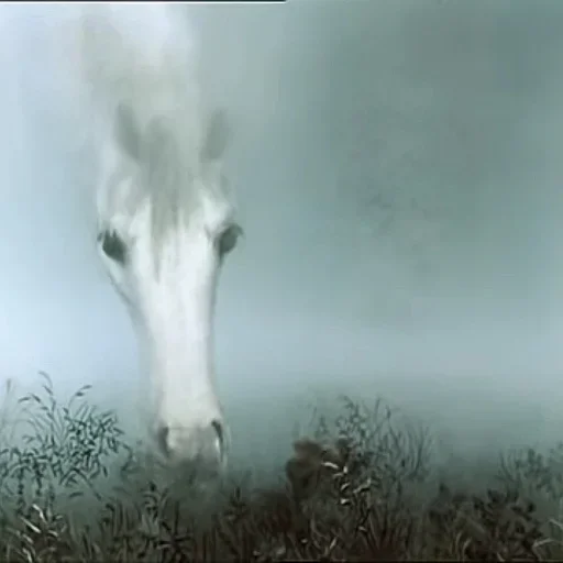 🦄 Стикер «Ёжик в тумане» для Telegram