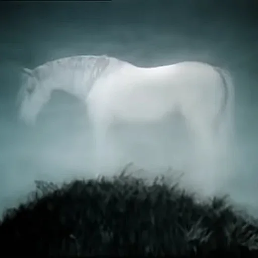 🐎 Стикер «Ёжик в тумане» для Telegram