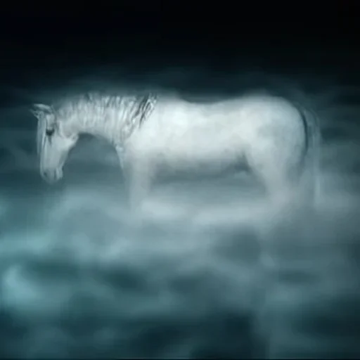 🐎 Стикер «Ёжик в тумане» для Telegram