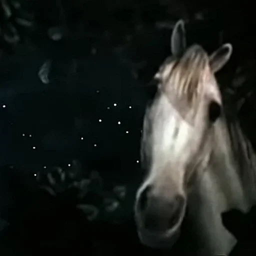 🐴 Стикер «Ёжик в тумане» для Telegram