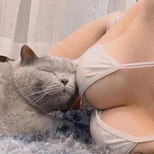 💋 Стикер «раздень девушку -» для Telegram