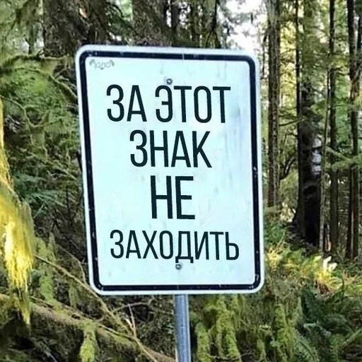 ⛔️ Стикер «раздень девушку -» для Telegram