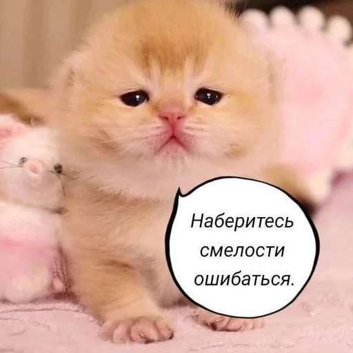 👿 Стикер «раздень девушку -» для Telegram