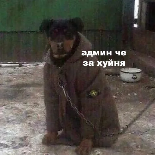 🧐 Стикер «fa sticks» для Telegram