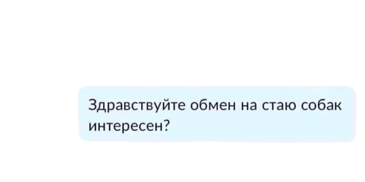 🐶 Стикер «fa sticks» для Telegram