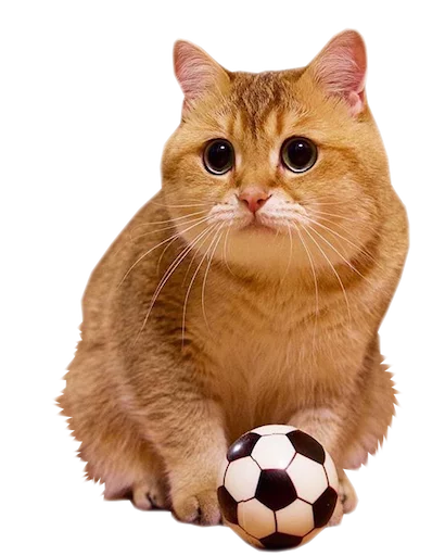 ⚽ Стикер «myCats» для Telegram