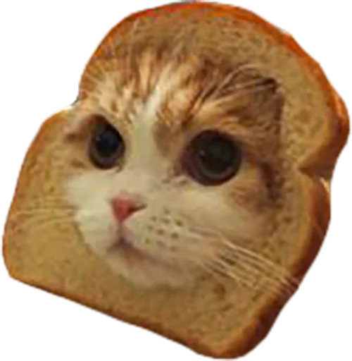 😽 Стикер «myCats» для Telegram
