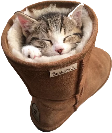 😺 Стикер «myCats» для Telegram
