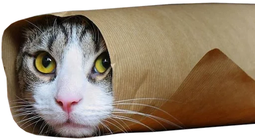 🐱 Стикер «myCats» для Telegram