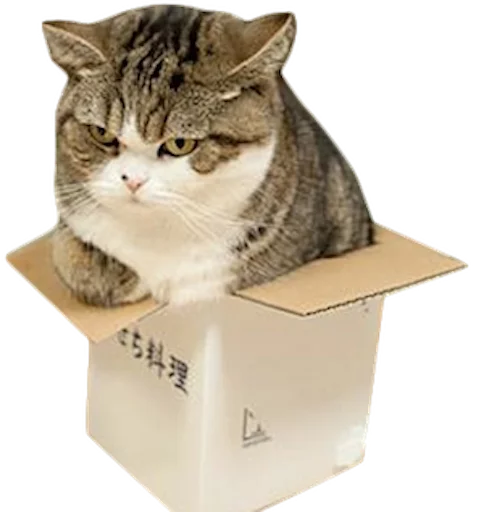 🐱 Стикер «myCats» для Telegram