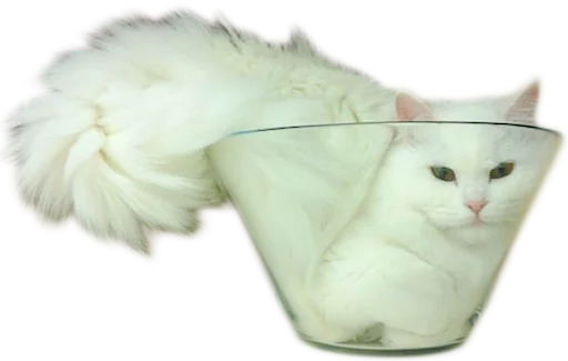 🐱 Стикер «myCats» для Telegram