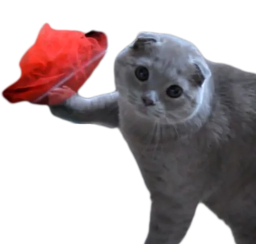 😿 Стикер «myCats» для Telegram