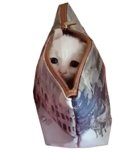 🐱 Стикер «myCats» для Telegram