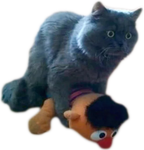 🐱 Стикер «myCats» для Telegram