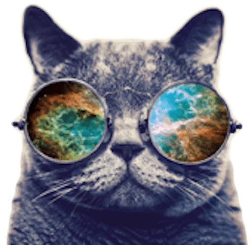 🐱 Стикер «myCats» для Telegram