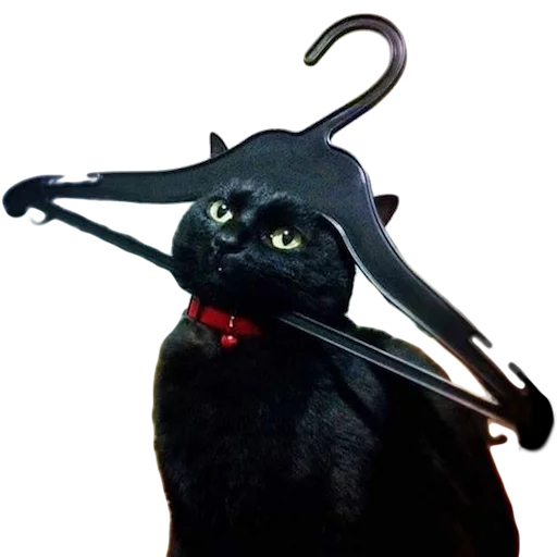 🐱 Стикер «myCats» для Telegram