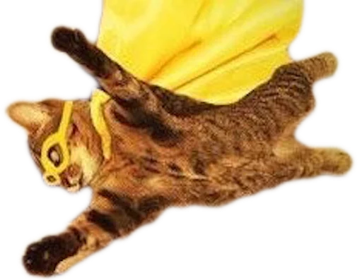 🐱 Стикер «myCats» для Telegram