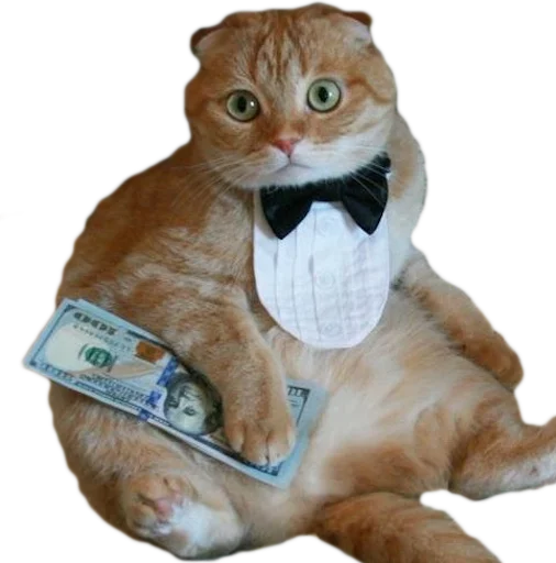 🐱 Стикер «myCats» для Telegram
