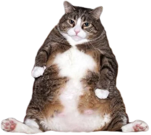 🐱 Стикер «myCats» для Telegram