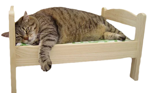 🐱 Стикер «myCats» для Telegram