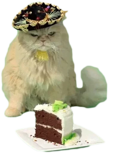 🐱 Стикер «myCats» для Telegram