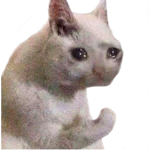 😿 Стикер «Facchia» для Telegram