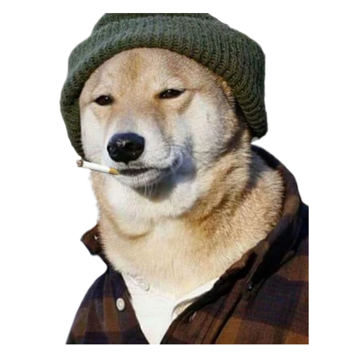 🚬 Стикер «Facchia» для Telegram