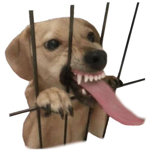😛 Стикер «Facchia» для Telegram